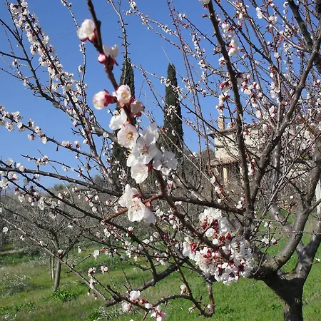 In Gualdo Near Trasimeno Сasa de vacaciones Gualdo Cattaneo
