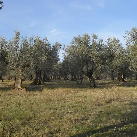 Belvilla By Oyo Marchese Gualdo Cattaneo